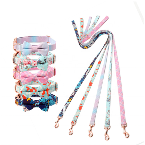 2023 luxury designer collar leash set accessories supplies dog collar leashes & harnesses pet collars