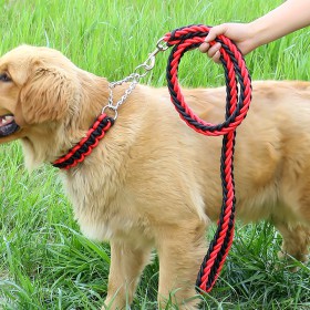 luxury Long rope nylon strong metal dog collar and leash set