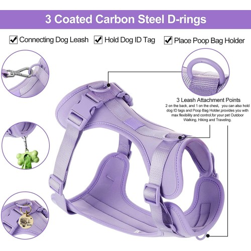 Dog Harness and Collar Set PVC Available Stocked Leash Set Dog Harness And Collar Set