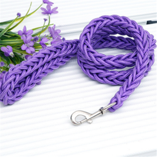 Popular Eight Strand Round Rope Dog Walking Strong Durable Multi-Colored Reflective Nylon Braided Pet Leash