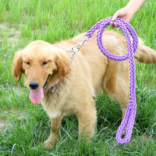 luxury Long rope nylon strong metal dog collar and leash set