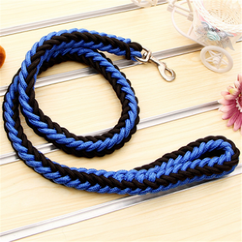 Popular Eight Strand Round Rope Dog Walking Strong Durable Multi-Colored Reflective Nylon Braided Pet Leash