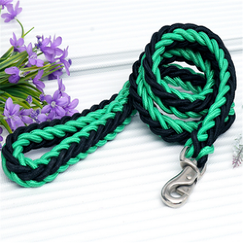 Popular Eight Strand Round Rope Dog Walking Strong Durable Multi-Colored Reflective Nylon Braided Pet Leash