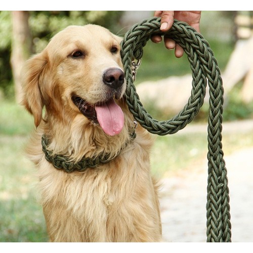 luxury Long rope nylon strong metal dog collar and leash set